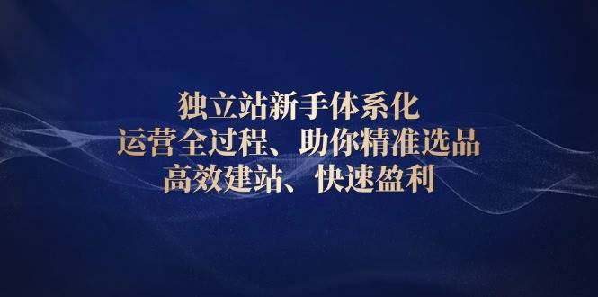 独立站新手体系化 运营全过程，助你精准选品、高效建站、快速盈利-ST-智库魔方