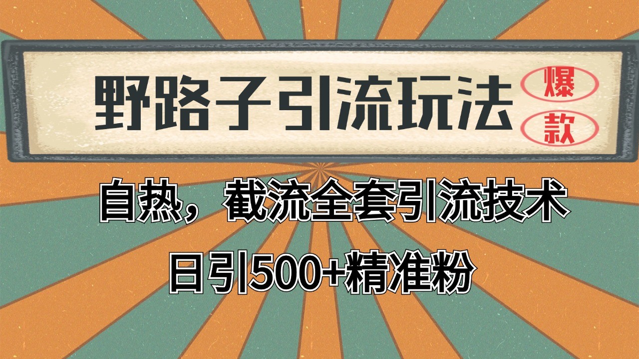 2024首发野路子引流玩法截流自热全平台打法，全自动引流【日引2000+精准客户】-ST-智库魔方