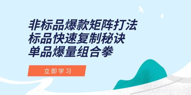 非标品爆款矩阵打法，标品快速复制秘诀，单品爆量组合拳-ST-智库魔方