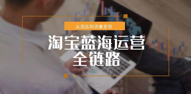 淘宝蓝海运营全链路，从选品到流量变现，小类目突围完整方案-ST-智库魔方