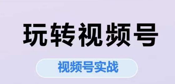 玩转视频号，视频号实战系列课-ST-智库魔方