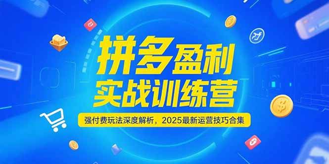 拼多多盈利实战训练营，强付费玩法深度解析，2025最新运营技巧合集-ST-智库魔方