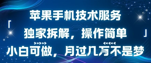 苹果手机技术服务，独家拆解，操作简单，小白可做，月过1W不是梦-ST-智库魔方