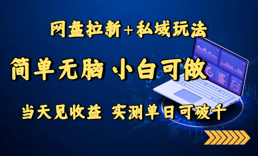 网盘拉新+私域玩法，简单无脑，小白可做，当天见收益，实测单日可破千-ST-智库魔方
