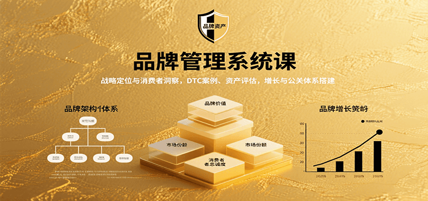 品牌管理系统课：战略定位与消费者洞察，DTC案例、资产评估，增长与公关体系搭建-ST-智库魔方